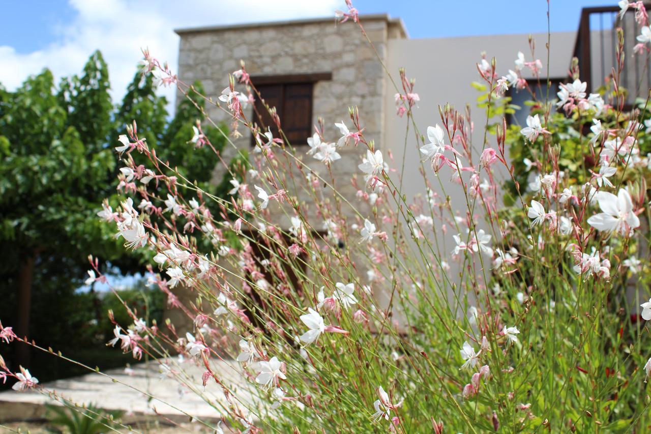 Sea And Mountain View Villa Anna Λυσός Εξωτερικό φωτογραφία